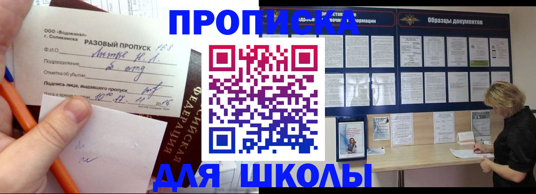 временная регистрация госуслуги в Щёлково